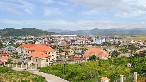 Tân Mai xin chuyển hơn 118 ha đất rừng Lâm Đồng để làm khu dân cư
