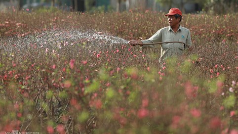 Hai phương án nghỉ Tết Tân Sửu