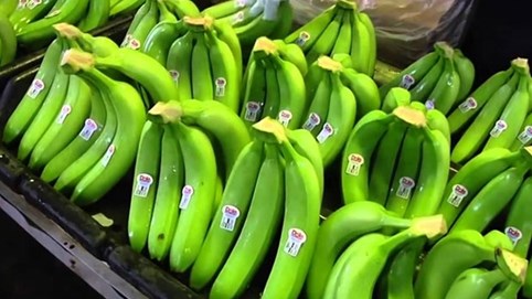 Hoàng Anh Gia Lai (HAG) lùi ngày tổ chức ĐHĐCĐ thường niên đến tháng 11