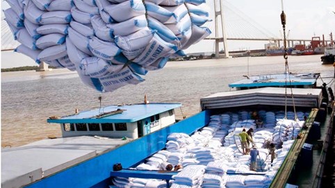 Xuất khẩu gạo đánh mất “cơ hội vàng”, doanh nghiệp tiếp tục khó khăn