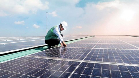 Cơn khát đầu tư điện mặt trời lên đỉnh điểm