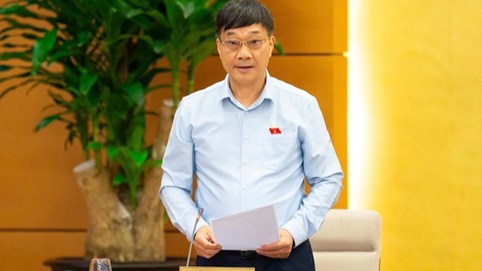 Tăng cường trách nhiệm của chủ quản nền tảng thương mại điện tử trong bảo vệ người tiêu dùng