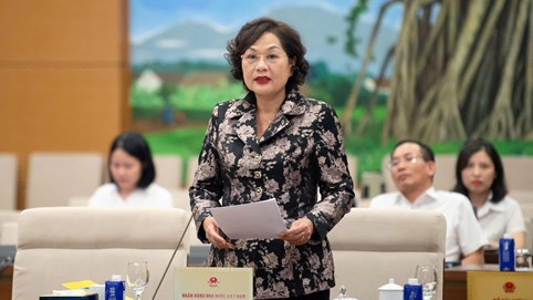 Định vị rõ Luật Thương mại điện tử trong hệ thống pháp luật