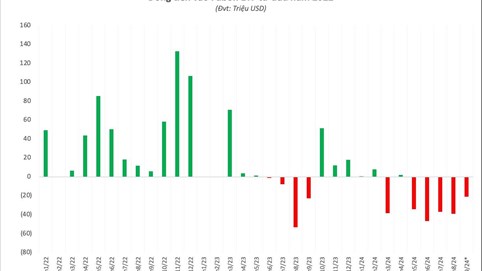 Đợt cơ cấu của quỹ ETF quy mô lớn nhất thị trường: Cổ phiếu ngân hàng thứ 5 chính thức lọt rổ, 