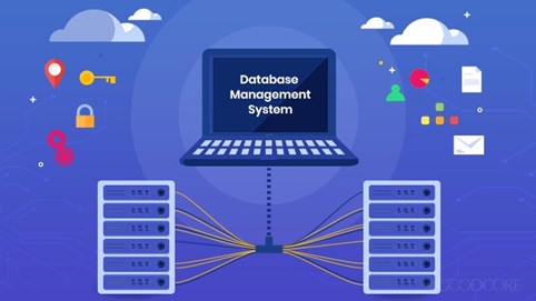 Nguyên tắc cập nhật, kết nối, khai thác và quản lý cơ sở dữ liệu chuyên ngành Nội vụ