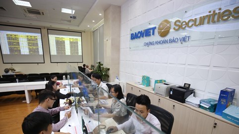 Chứng khoán Bảo Việt (BVS) chi gần 58 tỷ đồng cổ tức tỷ lệ 8%