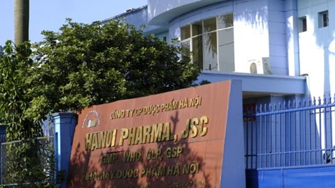 Chủ tịch và thành viên HĐQT Dược Hà Nội (DHN) từ nhiệm