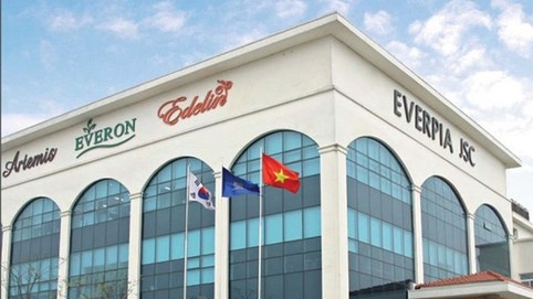 CTCP Everpia (EVE) thu hẹp hoạt động sản xuất kinh doanh ngành hàng khăn, dự kiến lỗ trong Quý III/2024