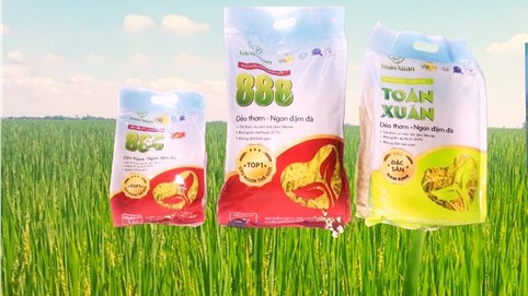 Gạo sạch Toản Xuân: Tiên phong phát triển mô hình gạo sạch 
