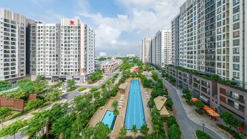 Hai công ty thành viên của Pi Group nợ thuế hơn 400 tỷ đồng