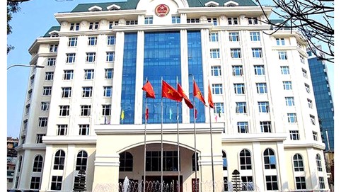 Ngành Thuế chuẩn bị mô hình quản lý mới khi xóa bỏ thuế khoán