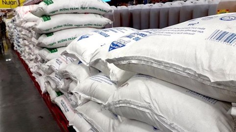 Sẽ nhập khẩu 119.000 tấn đường theo phương thức đấu giá