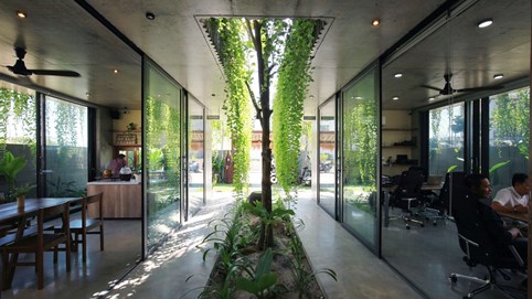 Ngôi nhà lợp mái rơm nhưng bên trong lại vô cùng hiện đại ở Hội An