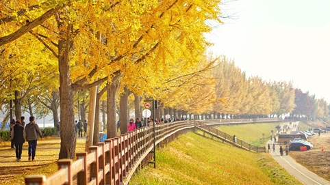 7 nơi chụp ảnh mùa thu đẹp nhất Hàn Quốc