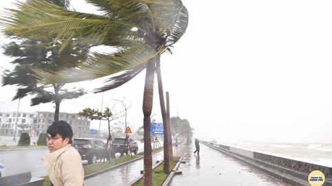 Dự báo 13h chiều nay, bão Molave đổ bộ vào đất liền các tỉnh từ Quảng Nam đến Bình Định
