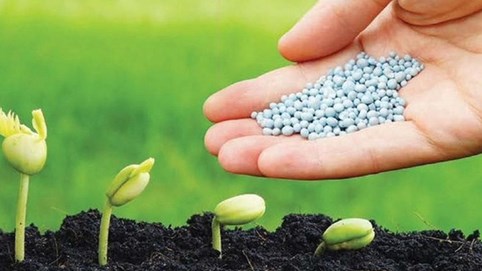 Ngành phân bón quý III/2023: Doanh nghiệp nhỏ lãi bằng lần, lợi nhuận “ông lớn” xuống đáy