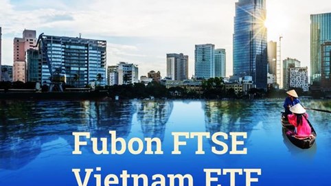 Fubon ETF mua gần 300 tỷ đồng cổ phiếu Việt Nam trong tuần thị trường giảm sâu, gom loạt mã HPG, VIC, VHM