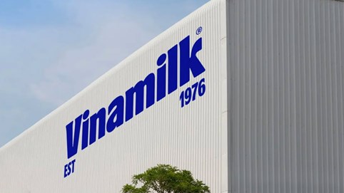 Vinamilk (VNM): Doanh thu quý 3 tăng 9,1%, thị trường quốc tế bứt phá 32,6%