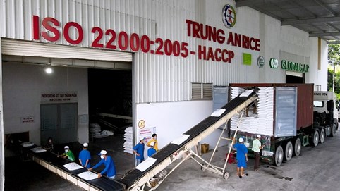 Nông nghiệp Công nghệ cao Trung An (TAR) lãi ròng quý III/2022 giảm 98%