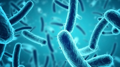 Trung Quốc biến nước thải thành 