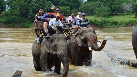 Đắk Lắk sẽ "xóa sổ" loại hình du lịch cưỡi voi