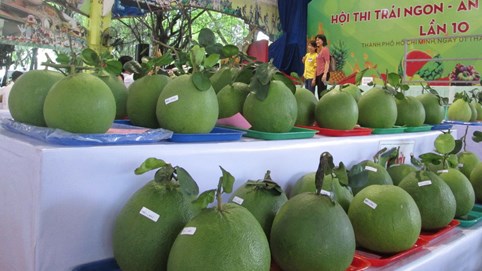 Bưởi Việt Nam có cơ hội "soán ngôi" bưởi Trung Quốc tại Nga