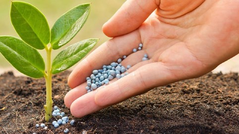 Ngành phân bón phục hồi mạnh