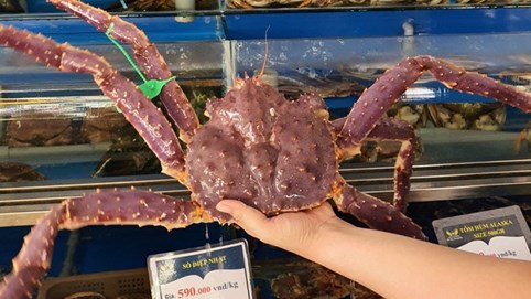 Cua hoàng đế giảm giá sâu, chỉ từ 780.000 đồng/kg