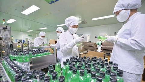 Traphaco (TRA) chốt ngày tạm ứng cổ tức đợt 1/2022 bằng tiền tỷ lệ 20%