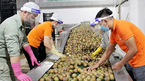 Bộ Công Thương khuyến cáo doanh nghiệp cập nhật quy định mới của Trung Quốc về xuất khẩu thực phẩm