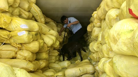 Lãnh đạo của 3 doanh nghiệp ở TP HCM bị cấm xuất cảnh