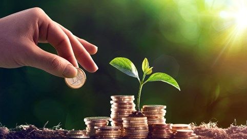 Vinamilk, Sabeco, Nhựa Bình Minh (BMP) trả cổ tức: Các tập đoàn Thái Lan đã thu về 35.000 tỷ đồng