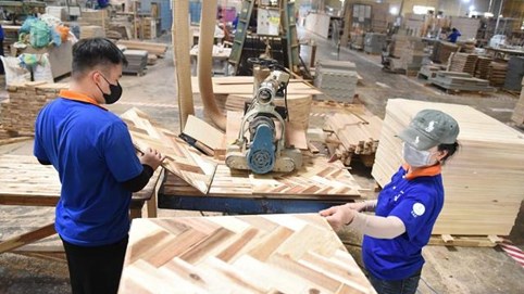 Gam màu sáng cho ngành gỗ quý 3