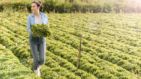 Lý Nhã Kỳ: “Tôi trồng rau nuôi gà vì thích, chứ không phải vì lợi nhuận”