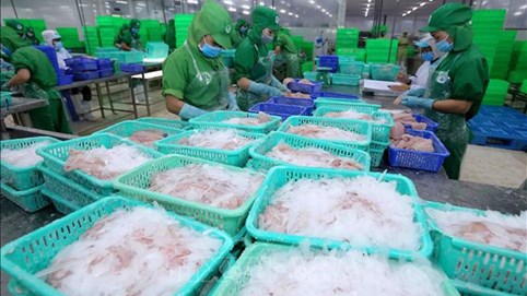 Giải mã cổ phiếu: Động lực nào đằng sau đà tăng phi mã cổ phiếu IDI của Đầu tư và Phát triển Đa Quốc Gia I.D.I?