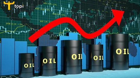 Cổ phiếu dầu khí chưa giúp nhà đầu tư “tránh bão” khi thị trường bất lợi