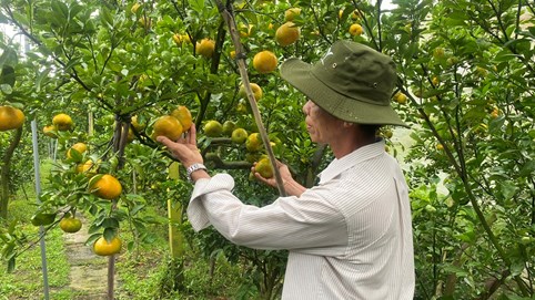 11 tháng, xuất khẩu nông, lâm, thủy sản vượt kỷ lục năm 2024