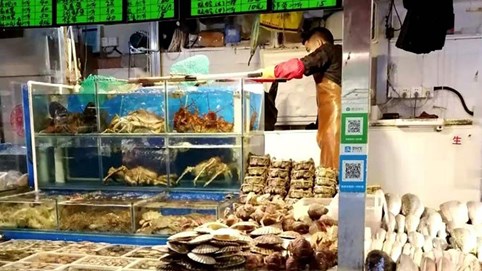 Có một thị trường đã chết vì căng thẳng Trung Quốc - Australia