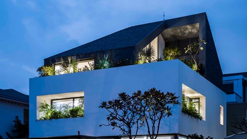 Biệt thự 3 tầng như một khối lập phương 'mọc' cây ở TP HCM