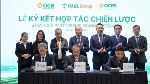 Hoàng Anh Gia Lai (HAG) quay lại sử dụng nhận diện thương hiệu truyền thống: Dòng vốn tín dụng dịch chuyển sang OCB