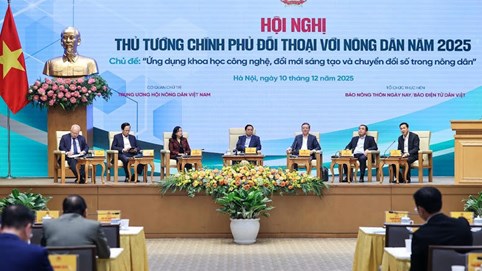 Doanh nghiệp đề xuất với Thủ tướng loạt giải pháp nâng cao giá trị nông sản, tăng thu nhập nông dân