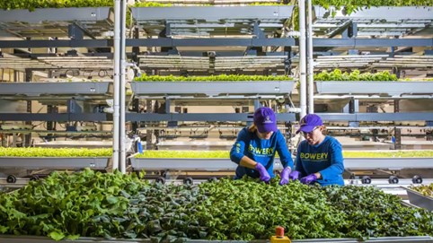 Nguồn vốn đổ vào các startup công nghệ nông nghiệp và công nghệ thực phẩm giảm mạnh