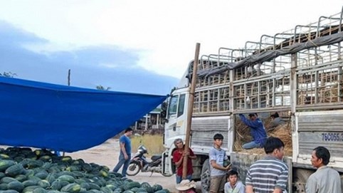 Tiểu thương mua dưa hấu “cắn răng” nộp 2 triệu đồng/xe để qua trạm bảo kê