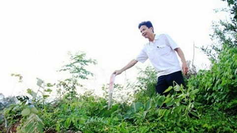 Gang thép Hòa Phát- Dung Quất: Làm khổ người sống, xâm hại cả người chết