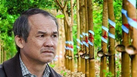 Vướng 2.593 tỷ khó thu của An Phú, HAGL của bầu Đức lại giải trình UBCKNN