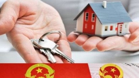 Núp bóng người Việt, người Trung Quốc thâu tóm “đất đẹp” tại Việt Nam