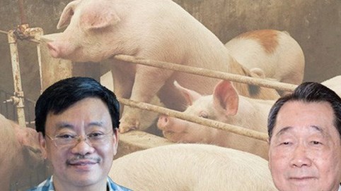 Tham vọng chiếm lĩnh thị trường thịt 10 tỷ USD: Tỷ phú Nguyễn Đăng Quang đủ sức đấu lại người giàu nhất Thái Lan?