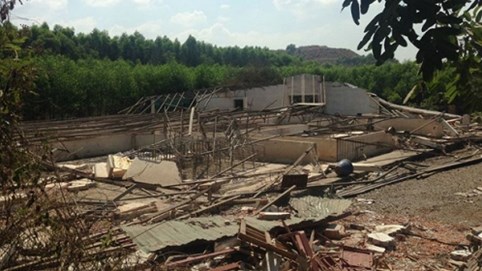 Chính quyền bức tử doanh nghiệp (Bài 5): 'Kỷ lục vô lý' 11 ha cây cối được đền… 184 triệu