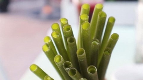 Giảm rác thải nhựa ra môi trường nhờ ống hút rau củ