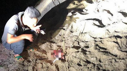 Công an điều tra vụ bé trai 7 tuổi bị gần 10 con chó cắn tử vong